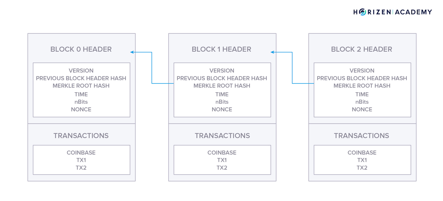 blockchain transaction data structure